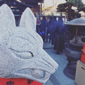 东京热视频在线观看
