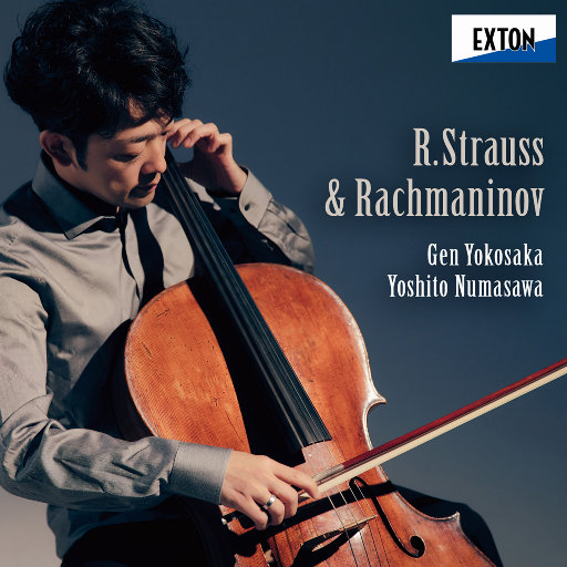 东京热视频在线观看
